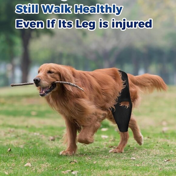 Dog ACL/CCL Knee Brace Torn Ligament Hip Dysplasia Arthritis Rear Hind & Front - Picture 7 of 7